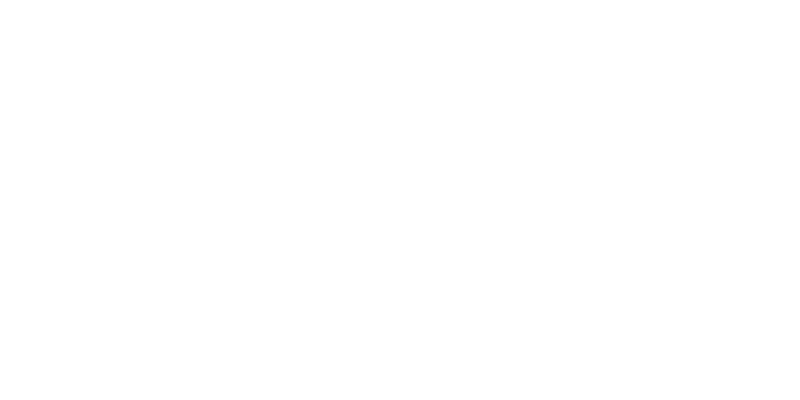 Asset 12